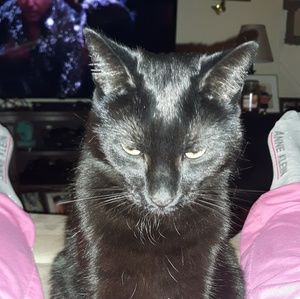 Meet your Posher, Lisa